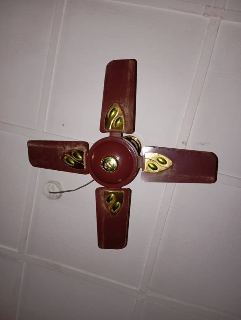 Ceiling fan